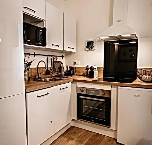 Belle Reine - 3 En Coeur De Centre-ville Aix-les-Bains